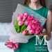 21 розовый тюльпан (1)