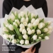 49 белых тюльпанов(1)